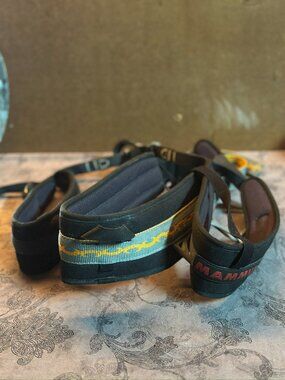 Mammut Climbing Harness
